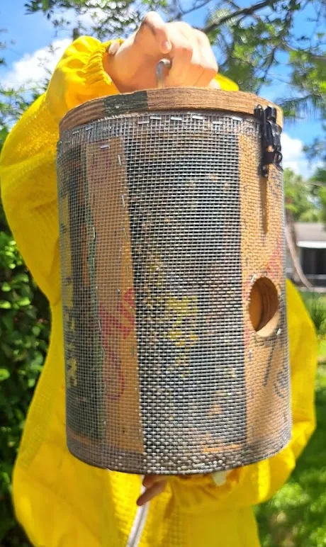 Houston bee removal team holding a bee transport box