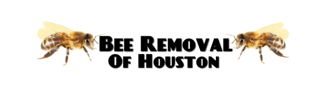 Bee Removal of Houston logo