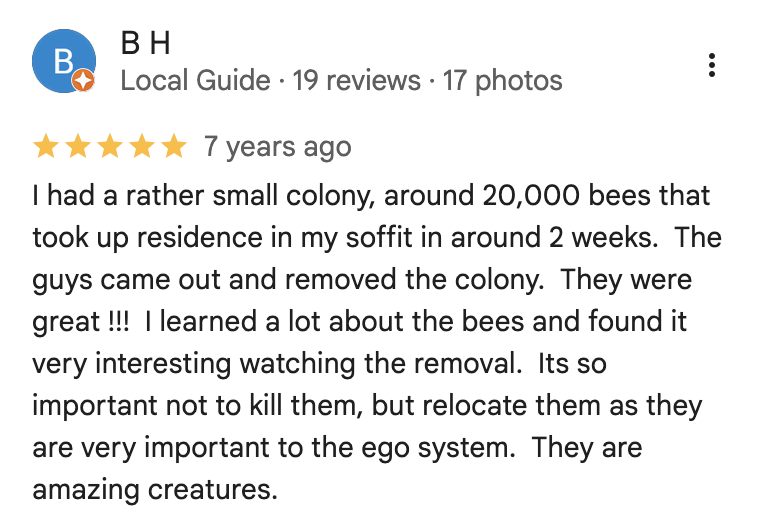 Google review from B H