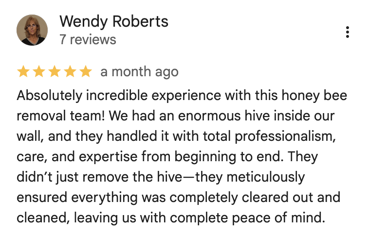 Google review from Wendy Roberts